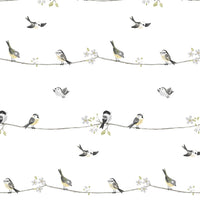 NextWall Sweet Tweet Charcoal & Buttercup Wallpaper NW41600