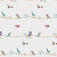NextWall Sweet Tweet Multicolored Wallpaper NW41608