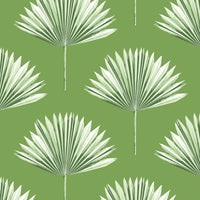 NextWall Tropical Fan Palm Green Sprout Wallpaper NW46504