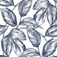 NextWall Sketched Leaves Navy Blue Wallpaper NW46902