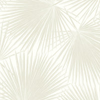 NextWall Aruba Palm Sea Salt Wallpaper NW47710