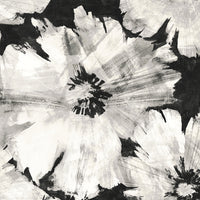 NextWall Graphic Floral Ebony & Champagne Wallpaper NW49200