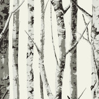NextWall Winter Birch Greystone Wallpaper NW49800