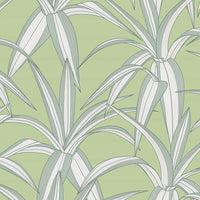 NextWall Tossed Cradle Plant Spring Green Wallpaper NW51704