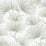 NextWall Pine Needles Aloe Green Wallpaper NW52104
