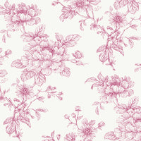 NextWall Sketched Floral Pink Wallpaper NW55701