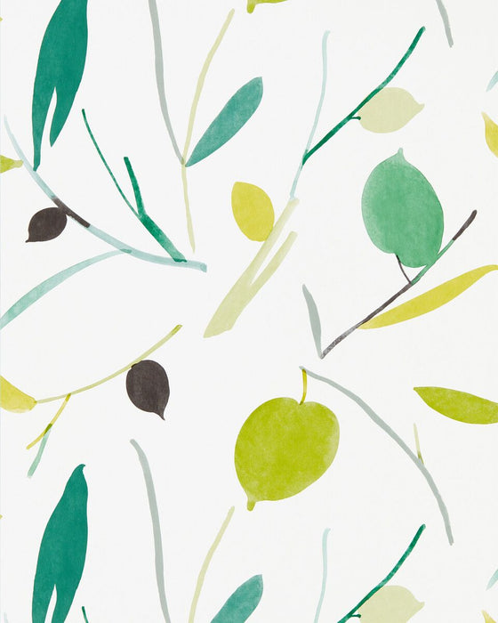 Scion Oxalis Wp Kiwi/Juniper Wallpaper NZAW111994.SCN.0