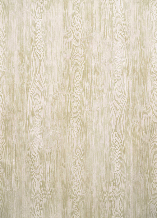Pierre Frey Boiserie Grege Wallpaper Sample FP219002