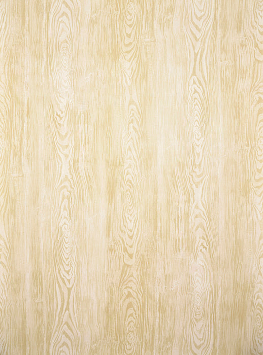 Pierre Frey Boiserie Bouleau Wallpaper FP219005