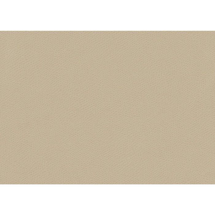 Kravet Contract Ophidian Oatmeal Fabric Sample OPHIDIAN.101.0