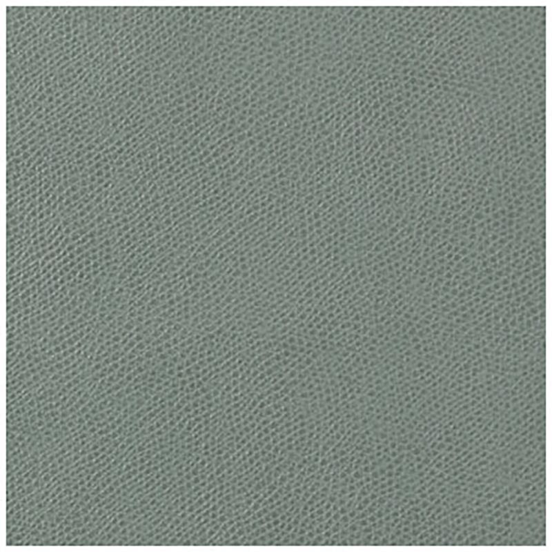 Kravet Contract Ophidian Mineral Fabric Sample OPHIDIAN.113.0