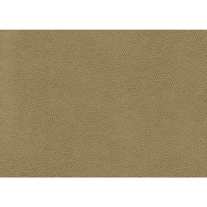 Kravet Contract Ophidian Wheat Fabric Sample OPHIDIAN.16.0