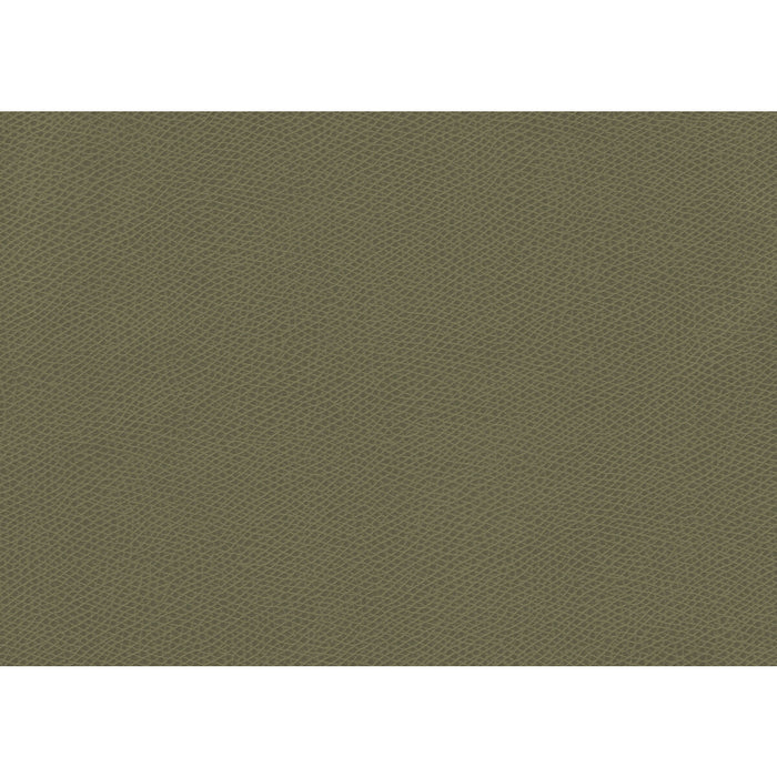 Kravet Contract Ophidian Sage Fabric Sample OPHIDIAN.3.0