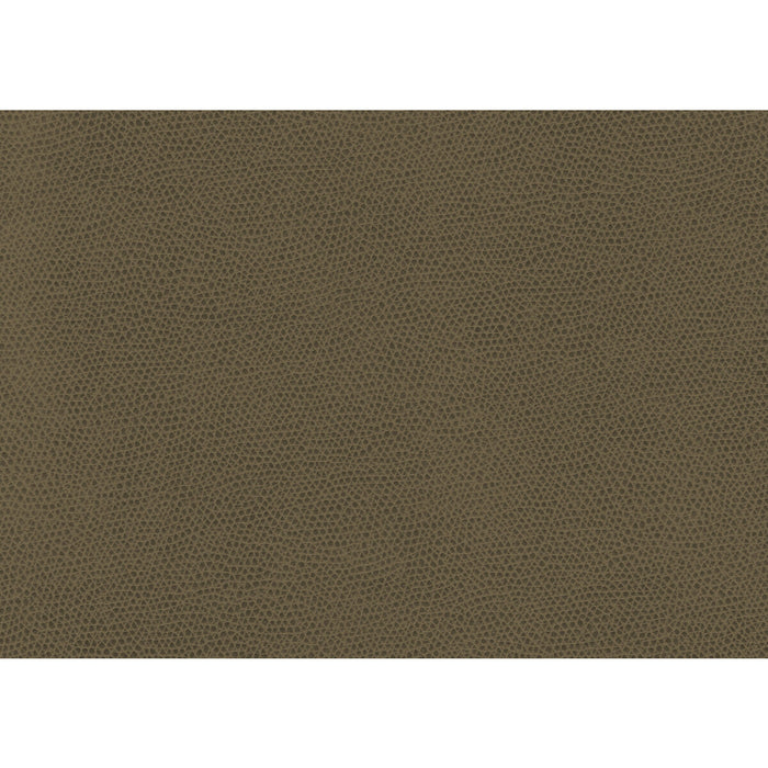 Kravet Contract Ophidian Bark Fabric Sample OPHIDIAN.606.0