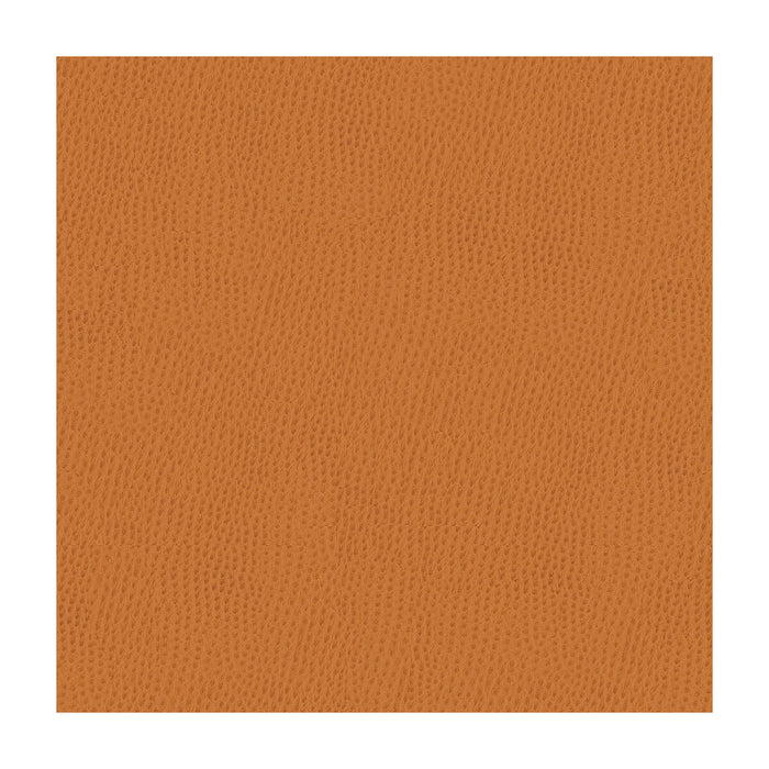 Kravet Smart OSSY.212.0 Ossy-212 Fabric