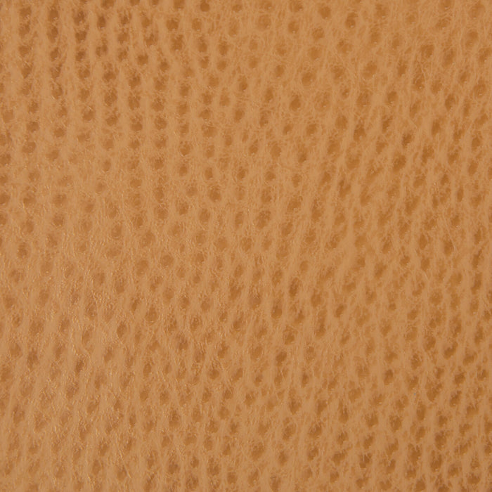 Kravet Smart OSSY.4.0 Ossy-4 Fabric