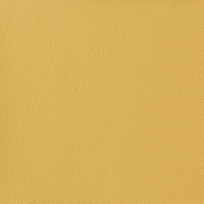 Kravet Basics OTTO.40.0 Otto-40 Fabric Sample