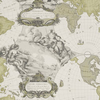 Pierre Frey Planisphere Gray Wallpaper FP198001