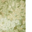 Lee Jofa Arley Paper Spring Wallpaper P2019106.316.0