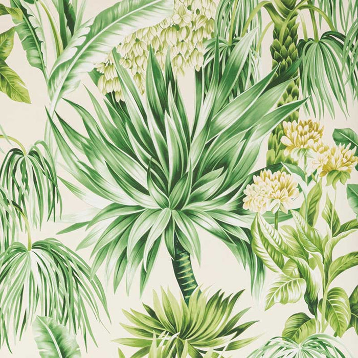 Lee Jofa Caluya Paper Palm Wallpaper Sample P2020104.3034.0