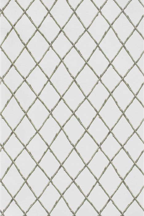 Lee Jofa Bare Twig Trellis Wp Green Wallpaper Sample P2025106.130.0