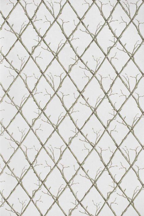 Lee Jofa Twig Trellis Wp Green Wallpaper Sample P2025108.123.0