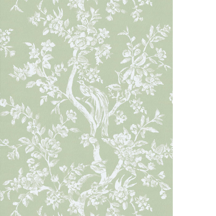 Lee Jofa Camellia Toile Wp Pear Wallpaper Sample P2026103.130.0