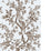 Lee Jofa Camellia Toile Wp Brown Wallpaper P2026103.61.0