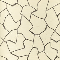 Donghia W-Bark Cloth Noir Wallpaper P6021100.81.0