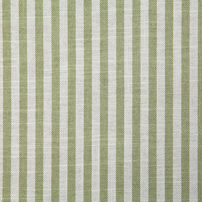 Pindler Albert Sage Fabric P6710