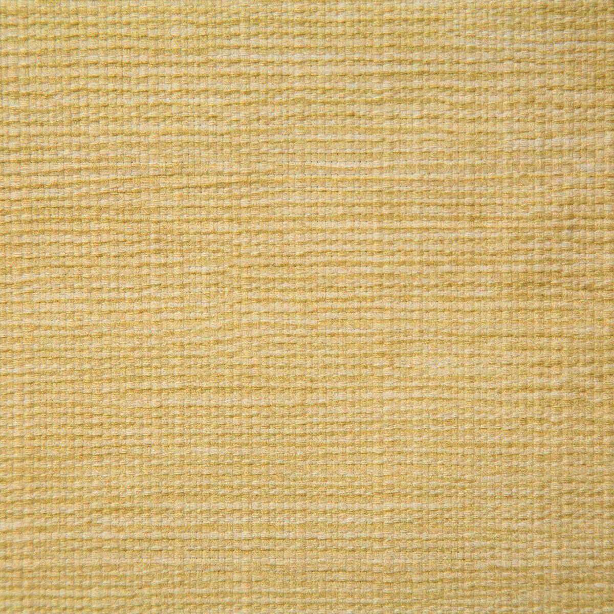Pindler Matthews Buttercup Fabric MAT120-YL09