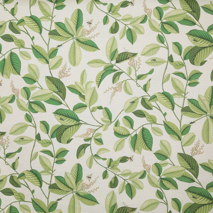 Pindler Springdale Palm Fabric SPR022-GR01