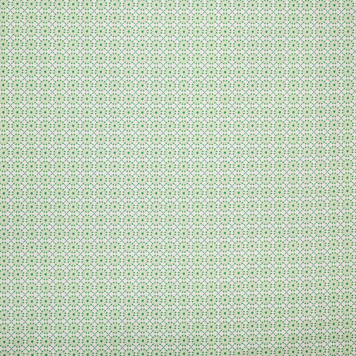 Pindler Augustine Palm Fabric P6872