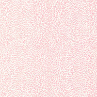 Brunschwig & Fils Petit Leopard Rose Wallpaper P8023107.7.0