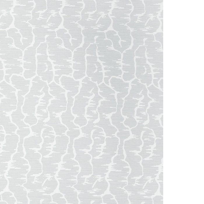 Brunschwig & Fils Leves Wc Grey Wallpaper P8025102.11.0