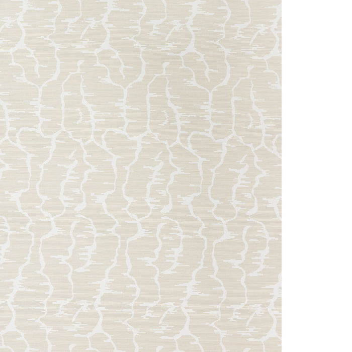 Brunschwig & Fils Leves Wc Beige Wallpaper Sample P8025102.16.0