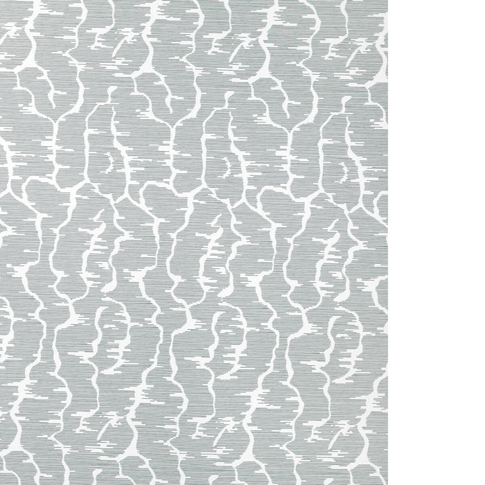 Brunschwig & Fils Leves Wc Noir Wallpaper P8025102.8.0