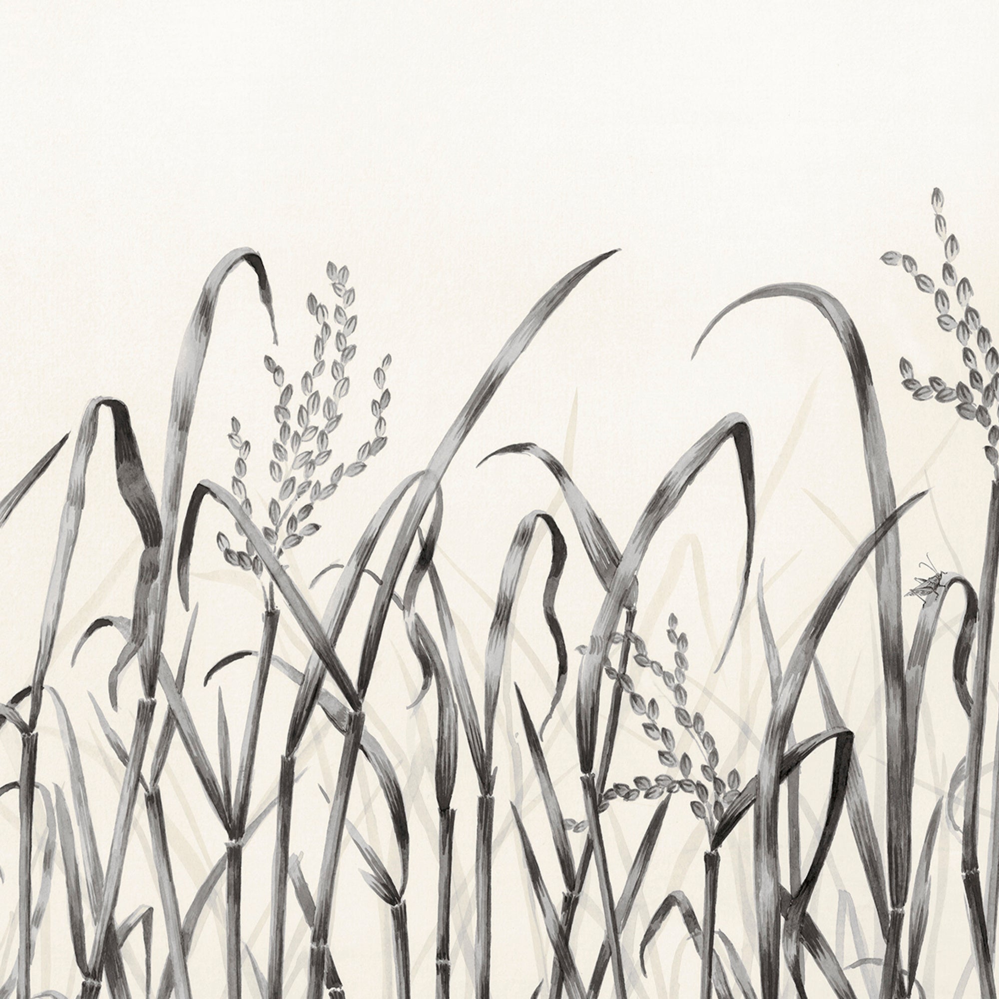 Nobilis Hors Champs 30 Wallpaper Sample PAN130