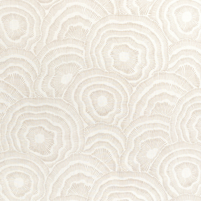 Kravet Couture Panache Natural Fabric PANACHE.16.0