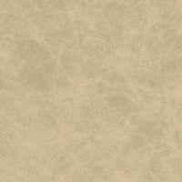 Kravet Design PATCH.11.0 Fabric