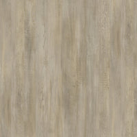 Nobilis Papier Bois Chene Grise 38 Wallpaper PBS38