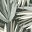 Perennials Palmetto Noir Wallpaper PD101-16