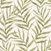 Pure Edit Ki Kale Fabric PEF100028.23.0