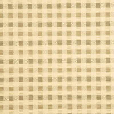 Parkertex Wave Pleat Taupe Fabric Sample PF50098.210.0