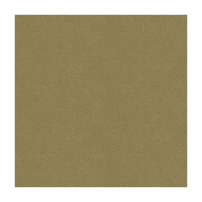 Kravet Design PIETRA.11.0 Pietra-11 Fabric Sample
