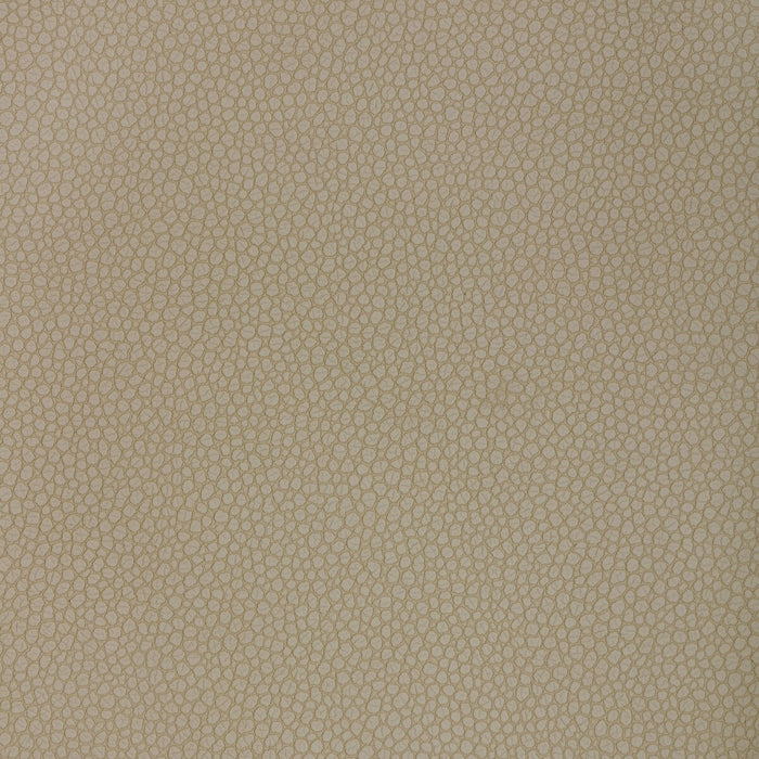 Kravet Design PIETRA.121.0 Pietra-121 Fabric