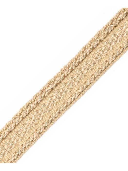 Scalamandre Galon Chainette Tape A Chevreuil Trim Sample PL53210017