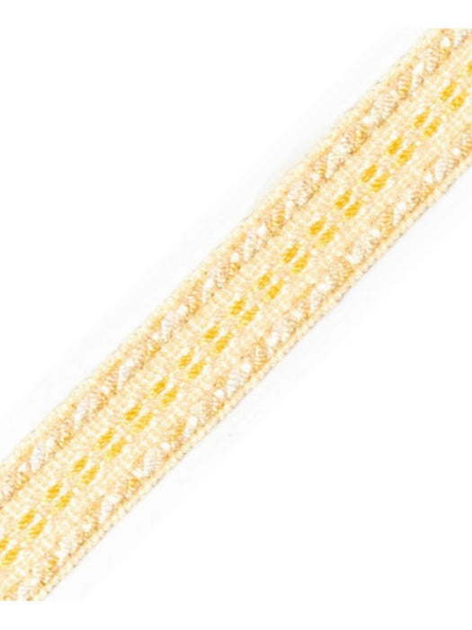 Scalamandre Galon Chainette Tape A Mais Trim Sample PL53210025