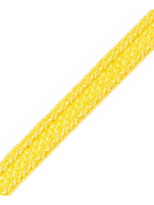 Scalamandre Galon Chainette Tape B Jonquille Trim Sample PL53110026