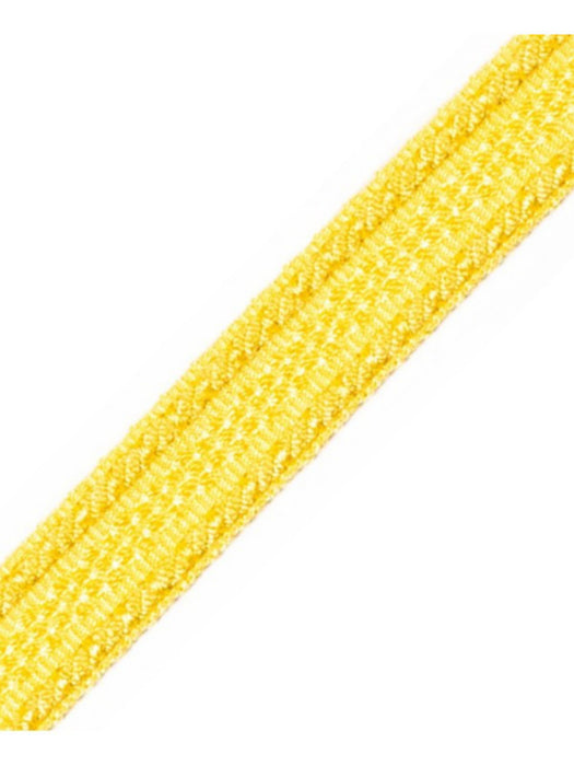 Scalamandre Galon Chainette Tape A Jonquille Trim Sample PL53210026